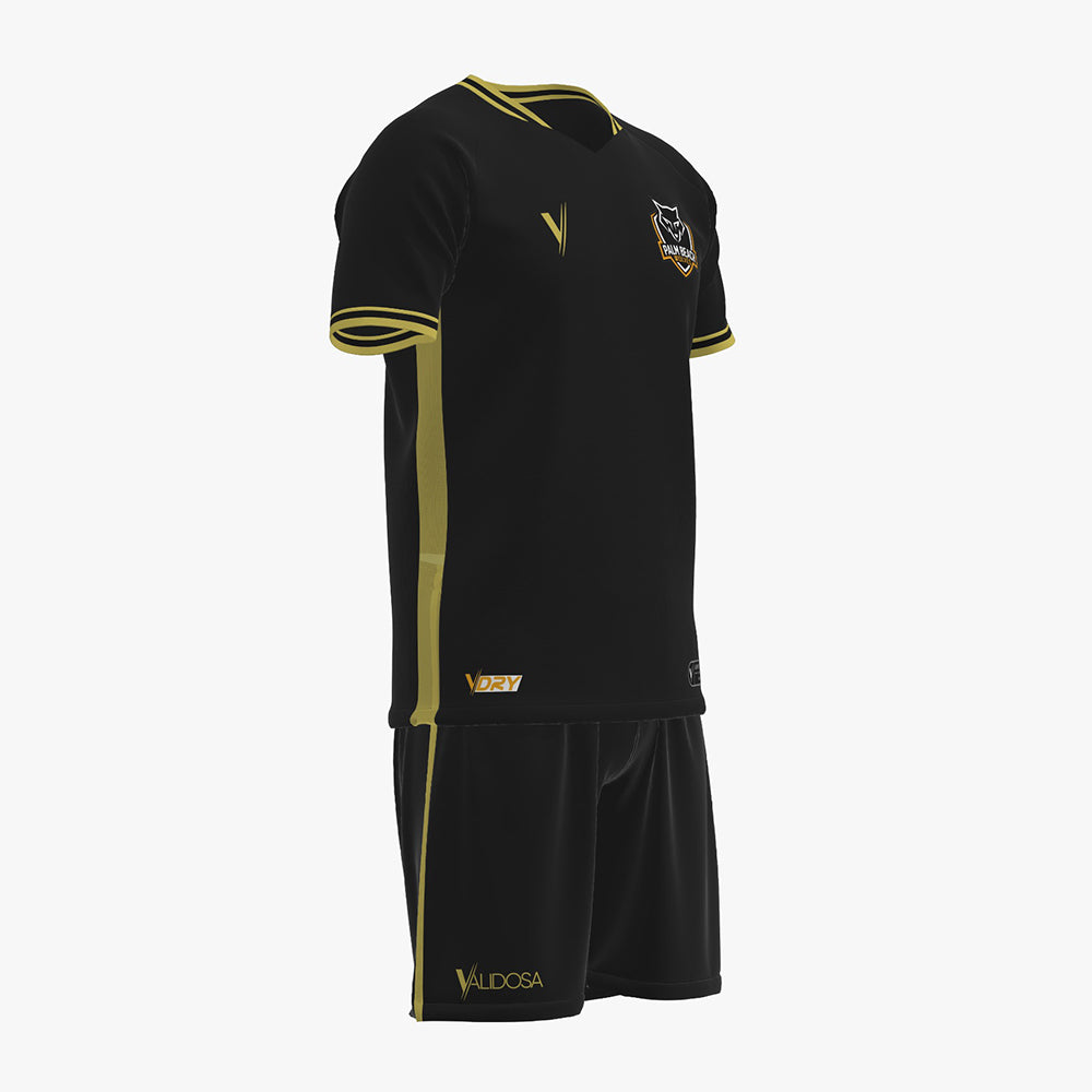 Training Kit (Jersey & Short)